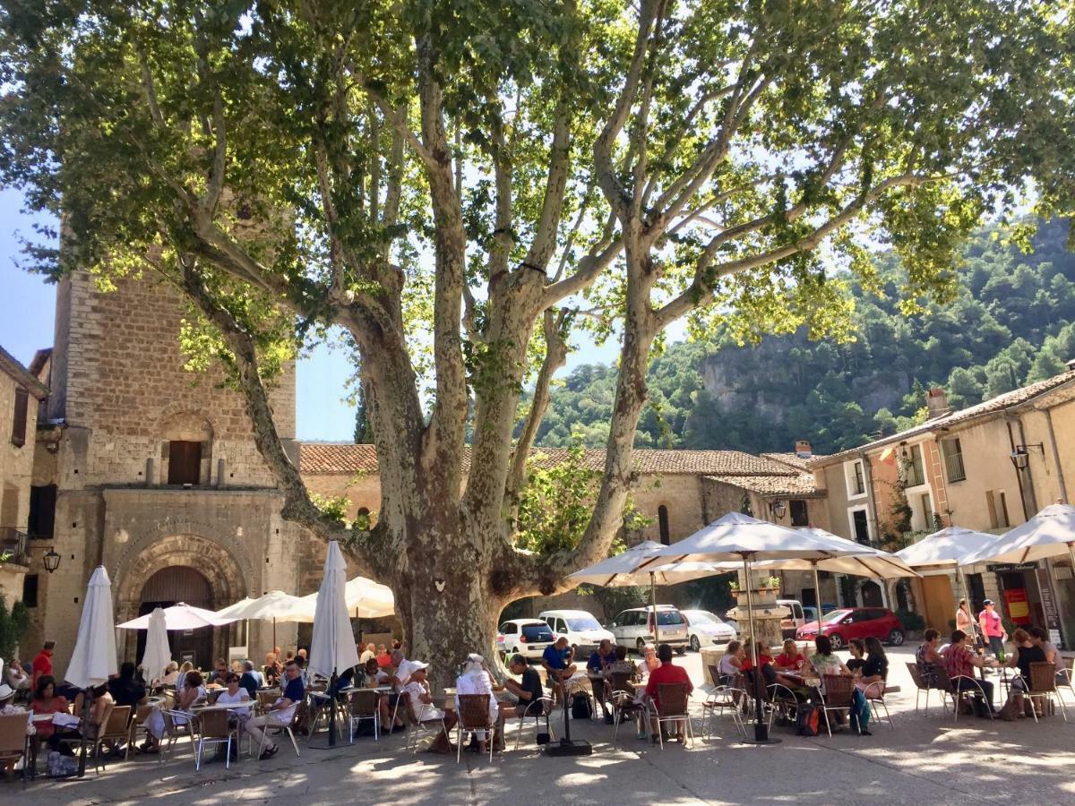Charmante Maison A Saint Guilhem Le Desert Eksteriør bilde
