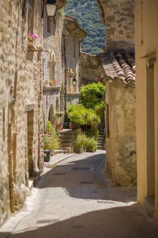 Charmante Maison A Saint Guilhem Le Desert Eksteriør bilde